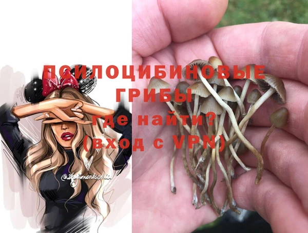 mdma Вязьма