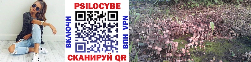 Псилоцибиновые грибы прущие грибы  это клад  Дальнереченск  где можно купить  